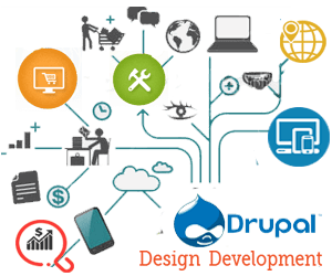 Web development services by Drupal freelancers in Mumbai India