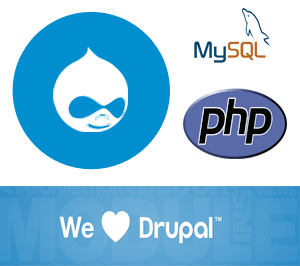 Freelance Drupal Developer in Mumbai India